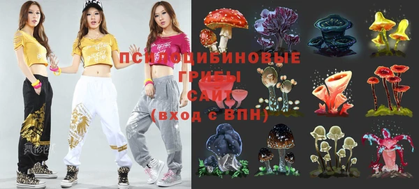 эйфоретик Белоозёрский