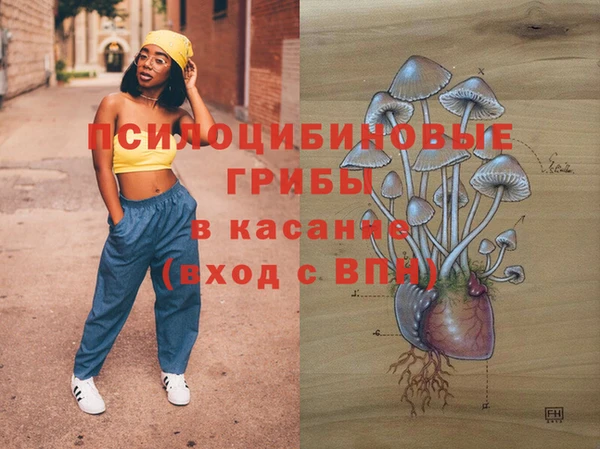 тгк Белокуриха