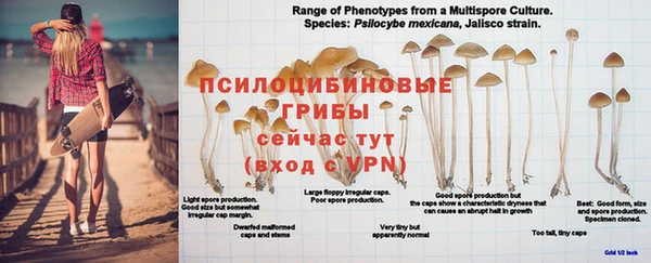 эйфоретик Белоозёрский