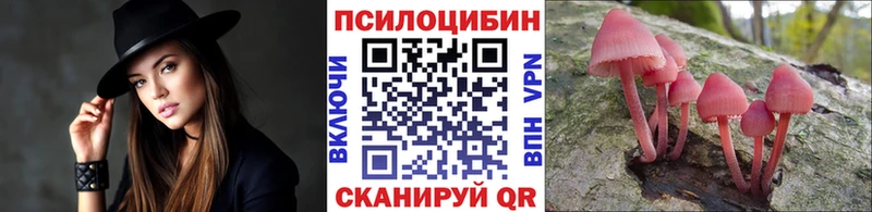 Псилоцибиновые грибы Psilocybine cubensis  Пестово 
